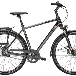 Großhandel Pegasus Premio SL-Belt 2019 8-Gang 8